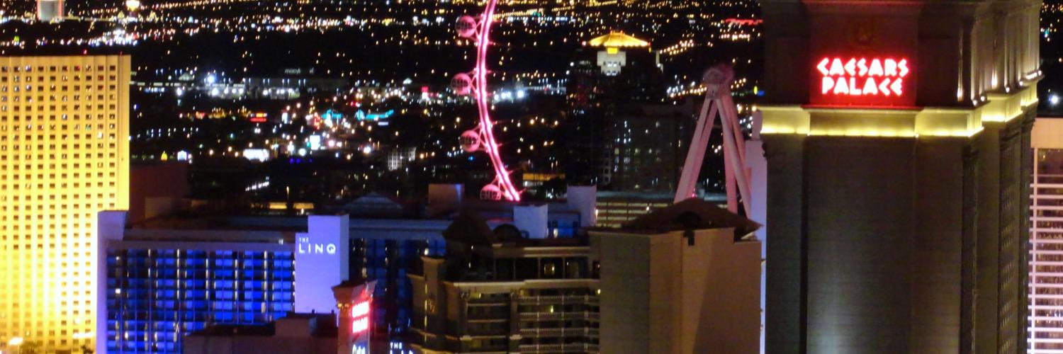 vegaschatter's profile banner image