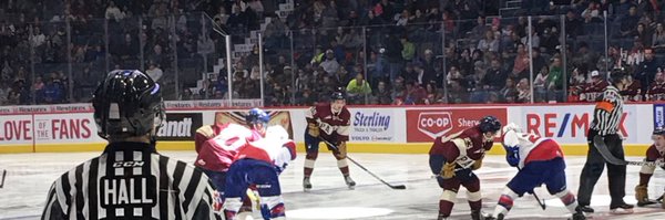 Hallzzy Profile Banner