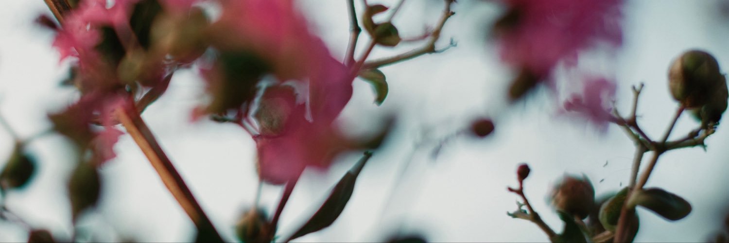 kwakwa2525's profile banner image