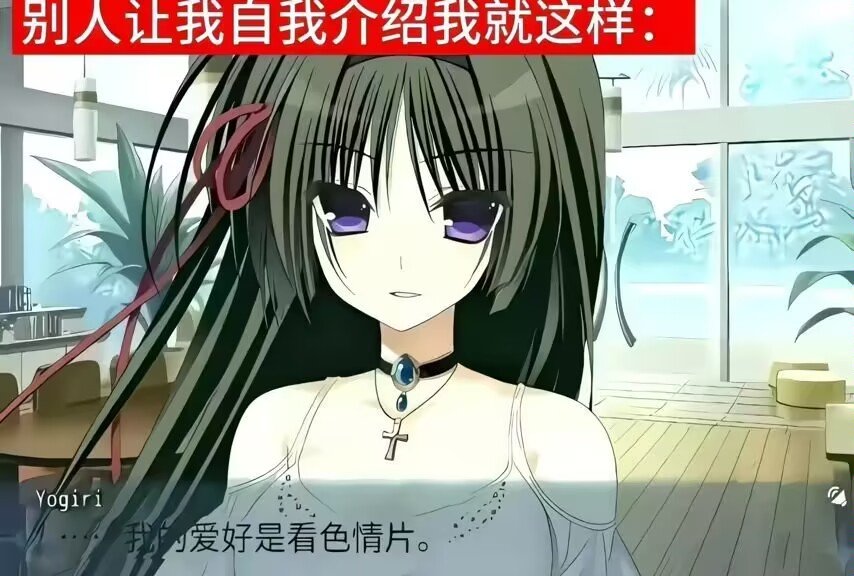 Miaobbc's profile banner image