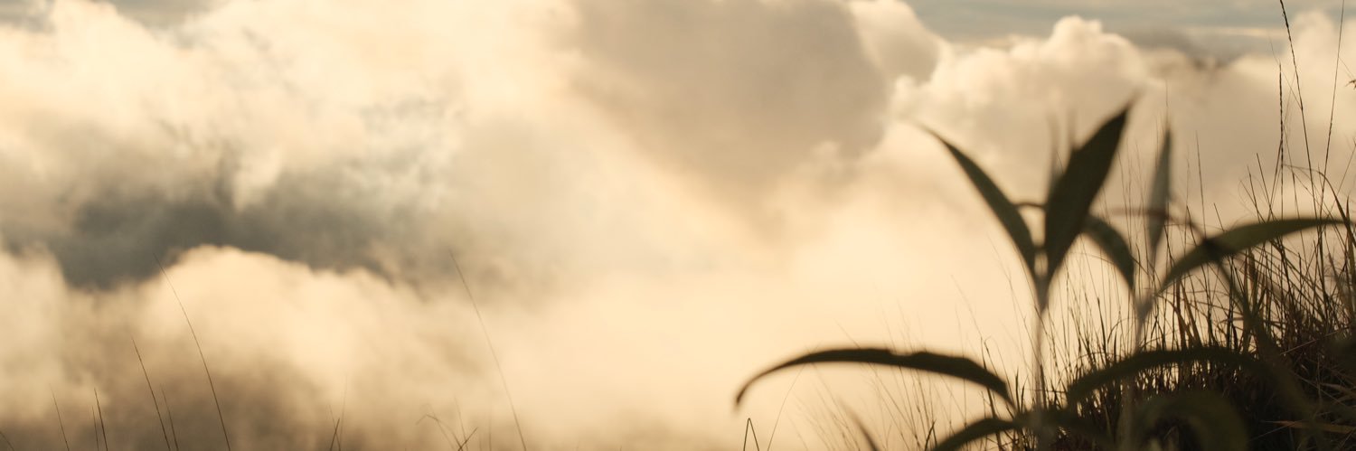 dellasint's profile banner image