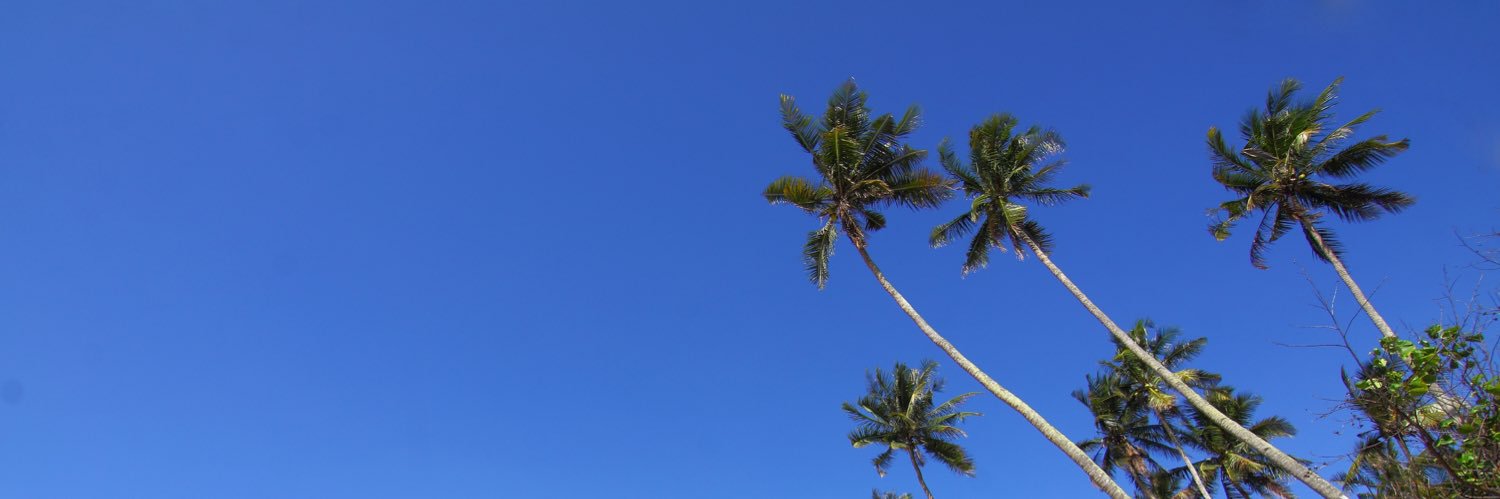 OsNoBe's profile banner image