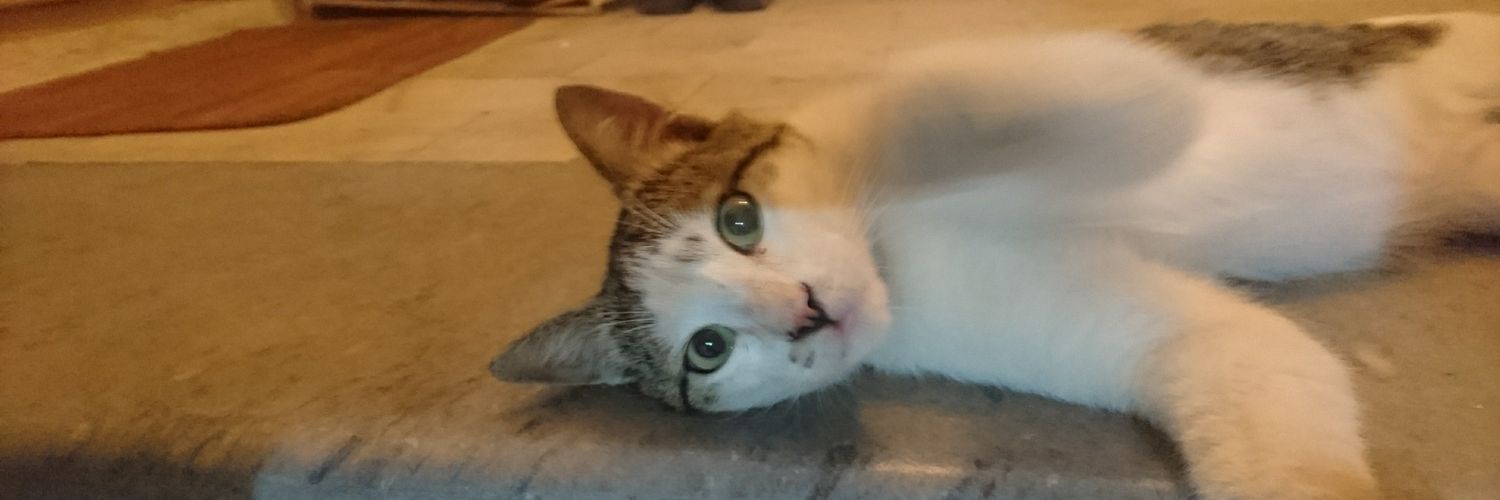 sinamilanee's profile banner image