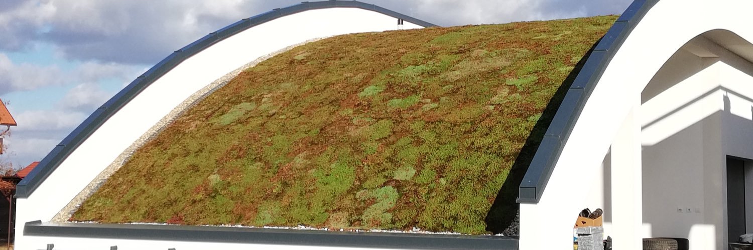 Rolph Markvoort banner