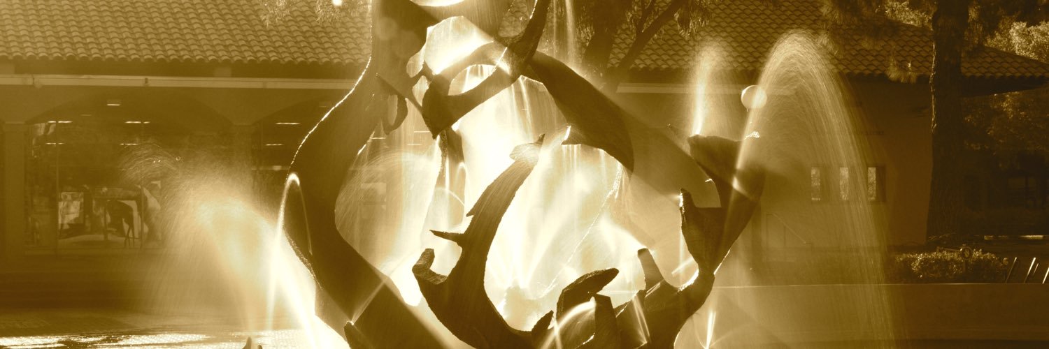 CardinalForce's profile banner image