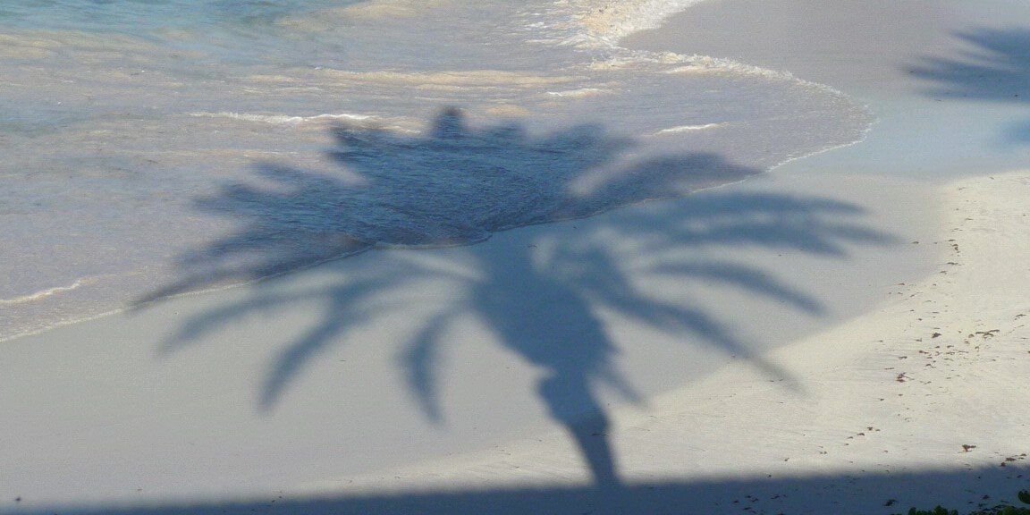 summeriscricket's profile banner image