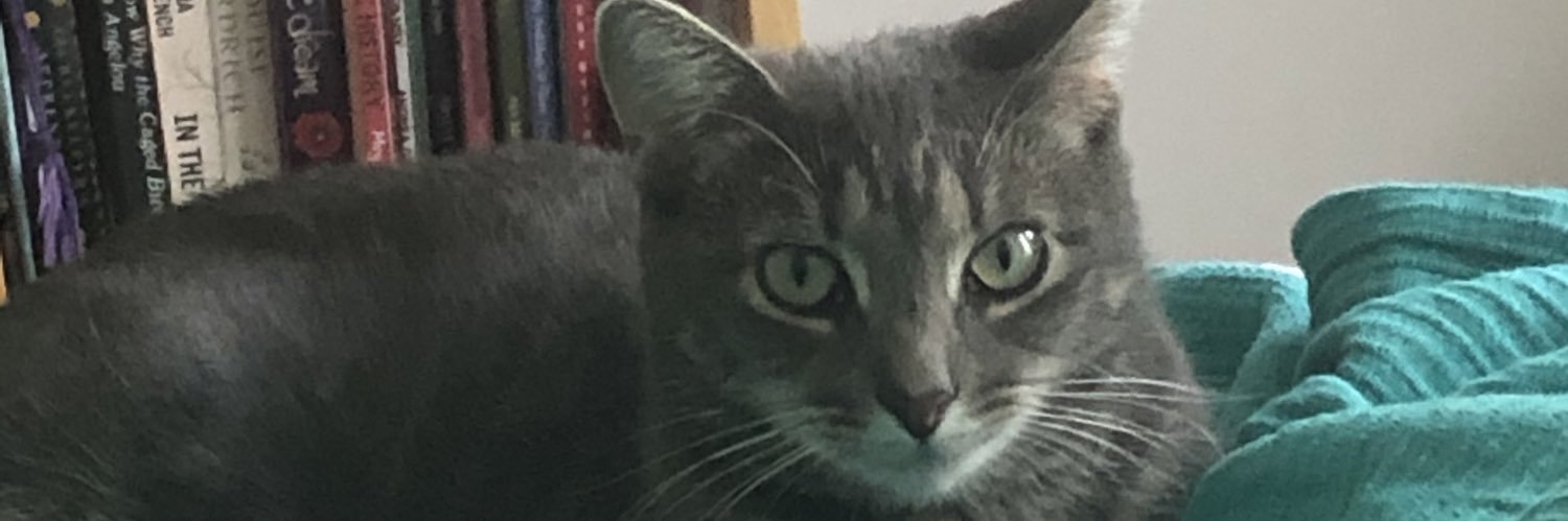 Magda banner