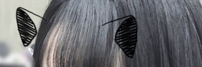 _Froze's profile banner image
