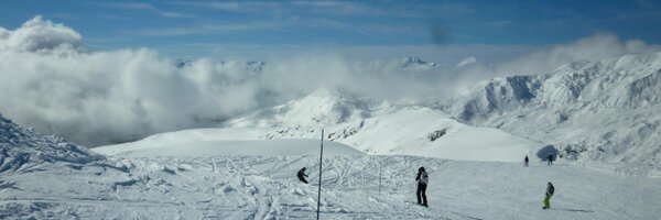 doxla Profile Banner