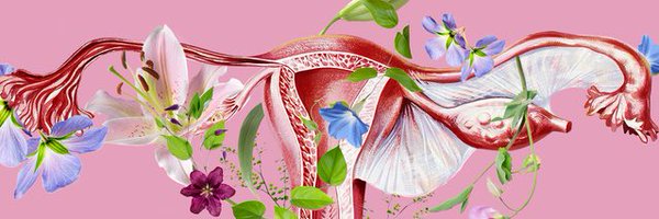 HerNameIsSorca Profile Banner