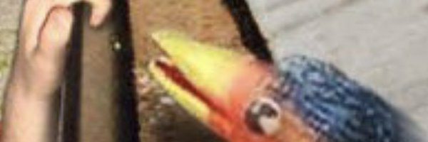 eddo75 Profile Banner