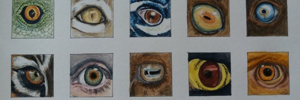 sofianairmorna Profile Banner