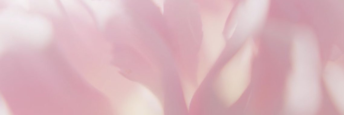 faeiiia's profile banner image