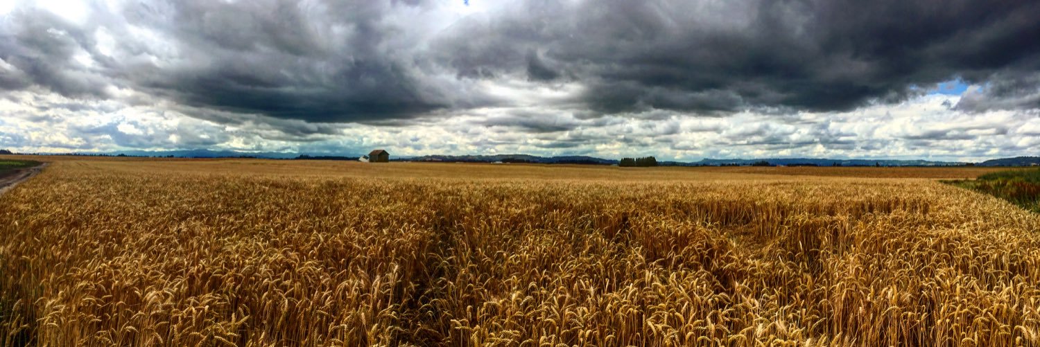 OregonFarmGirl's profile banner image