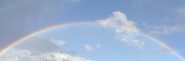 lai Profile Banner