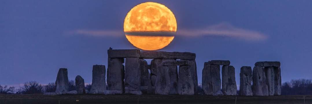 Will Tremlett banner