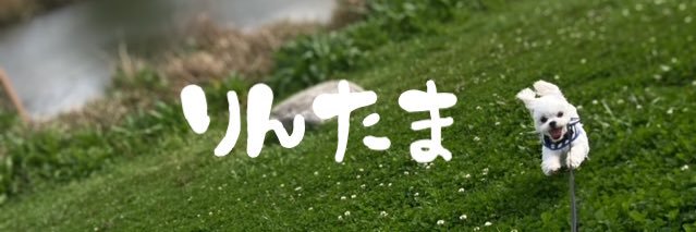 otou0421's profile banner image