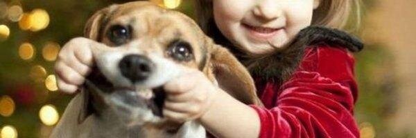 Александр В. banner