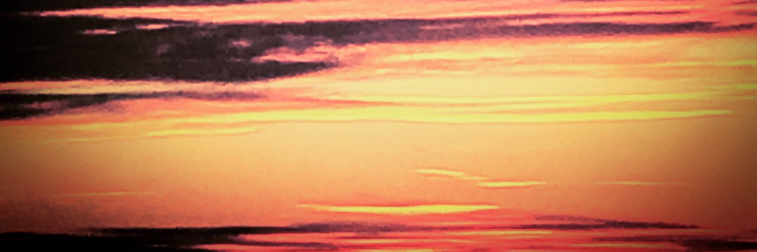 SamiraAriadad's profile banner image