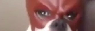 TaoGLA's profile banner image