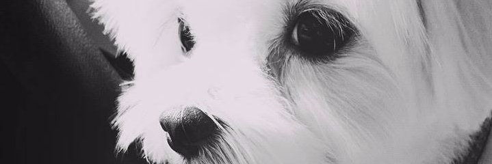 CelestialDeva's profile banner image