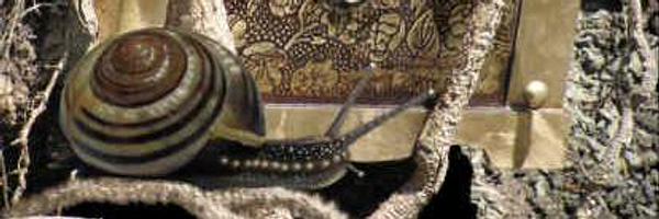 motionpix Profile Banner