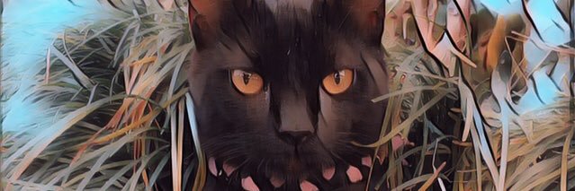 Juli✌🏽️💚 banner