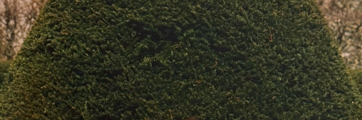 renjuuon's profile banner image