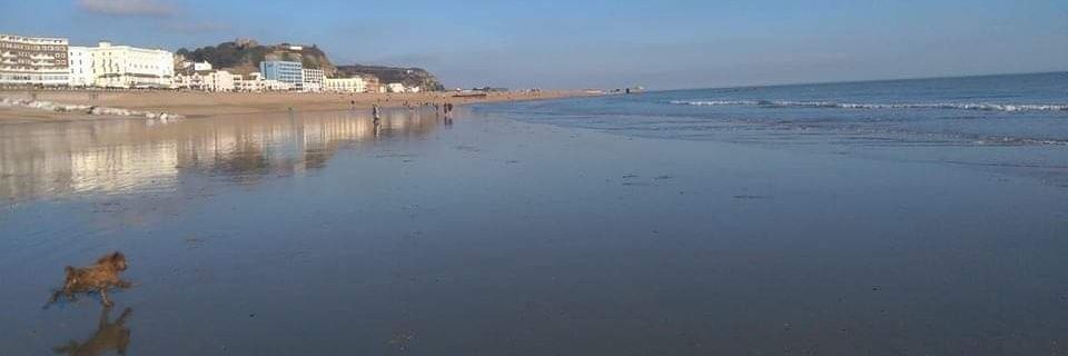 Coxy 🍻🍻🍻🍻🍻🍻🍻🍻🍻🍻🍻🍻🍻🍻 banner