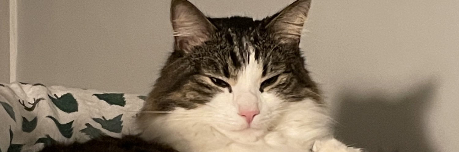 ChdkSowa's profile banner image