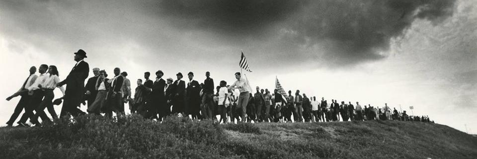 Nick Gulotta (he/him) banner