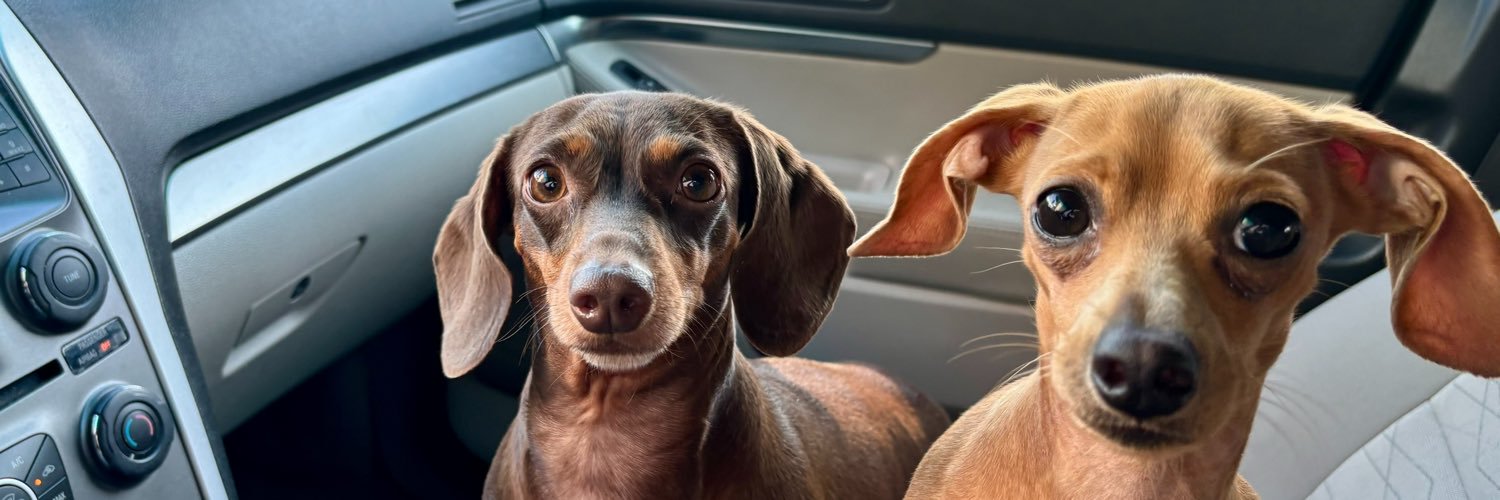miadevinneyy's profile banner image