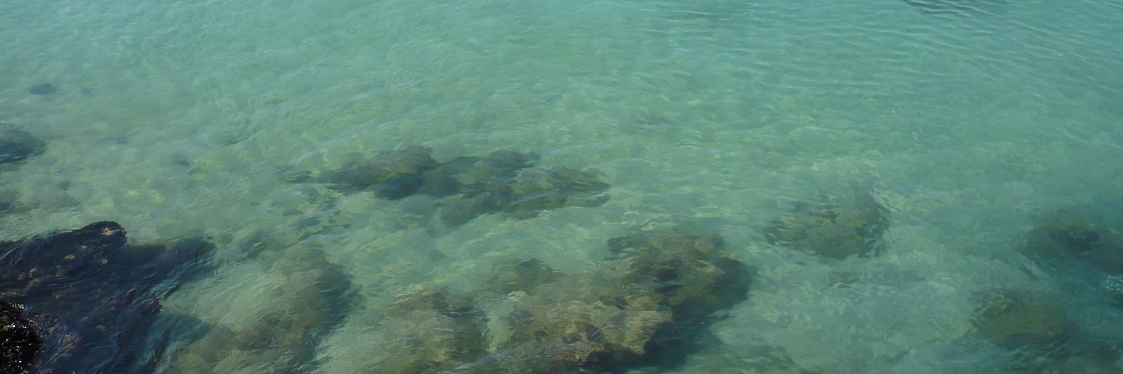 Arnaud Giuliani banner