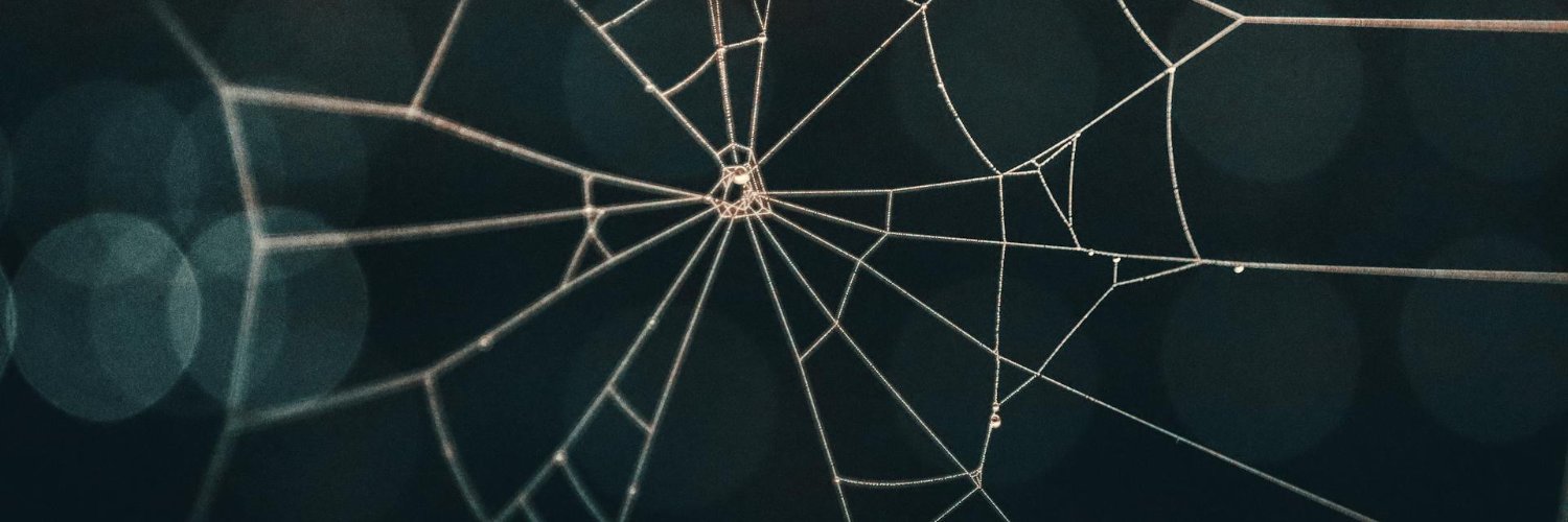 painsthee's profile banner image