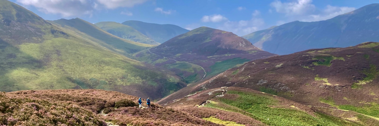 Phil Ritchie 🇺🇦 banner