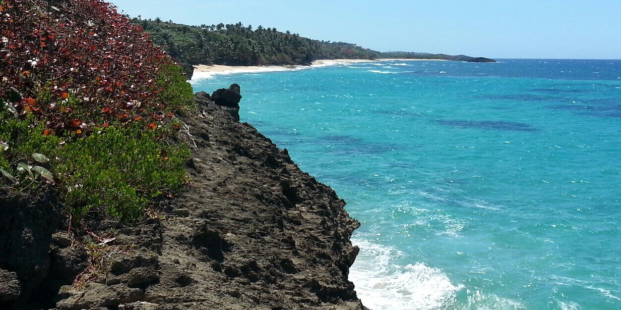 MnM 🌛🐸🍁🐝🌜 banner