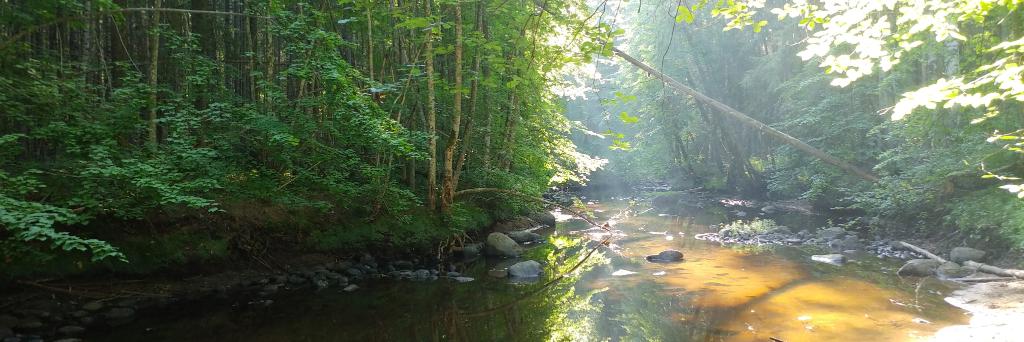 Mārtiņš Яструб banner