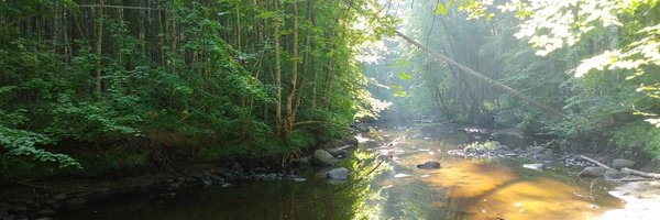 mvanags Profile Banner