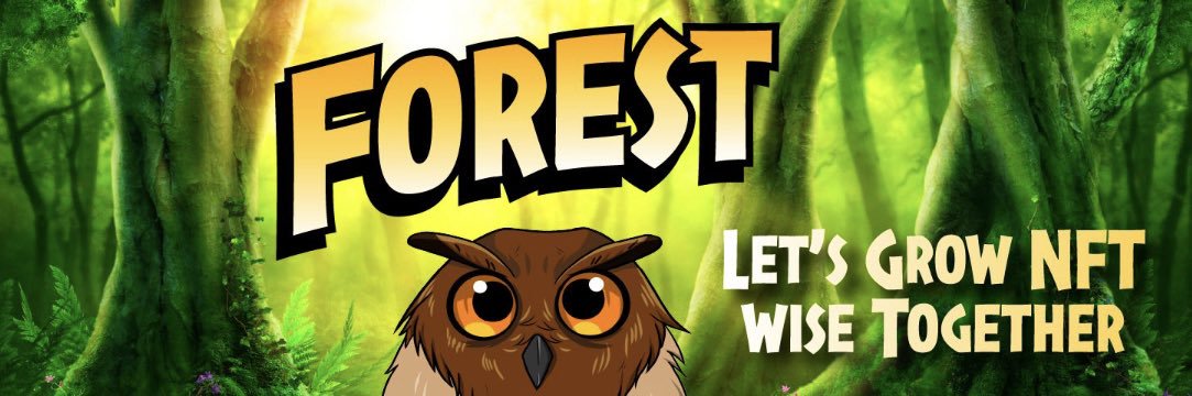 TheForest.eth | NFT Education banner