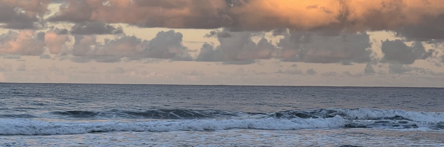 vincentsom's profile banner image