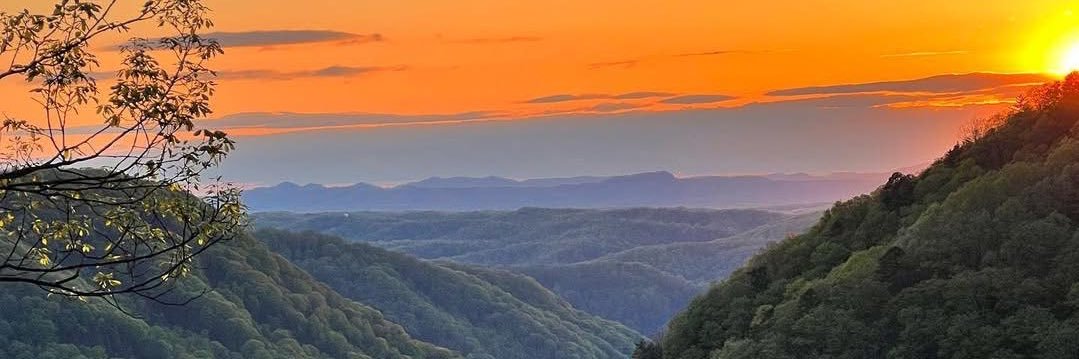 RealEdVogler® banner