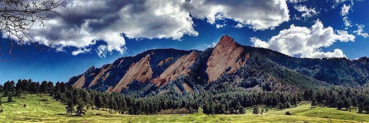 mattmwilkinson's profile banner image