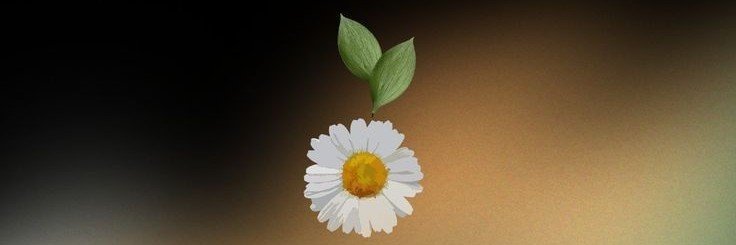 Bahardrnr27's profile banner image