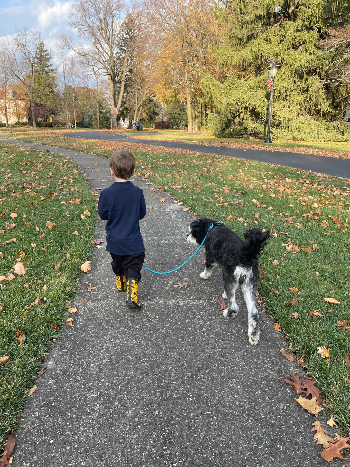 Will Harrelson banner