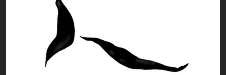 onioni5's profile banner image