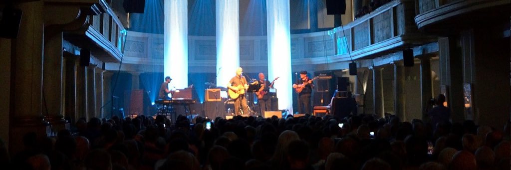 David Knopfler 💙 banner