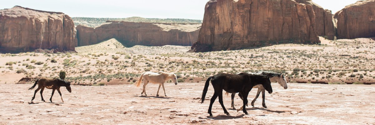 Natalie_Pluck's profile banner image