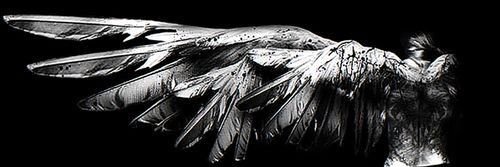 Yukiswan444's profile banner image