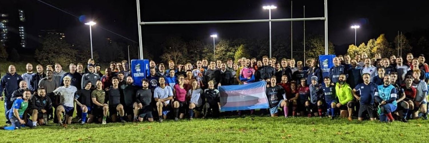 badly-drawn bee 🐝 banner