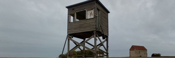 1paulnelson Profile Banner